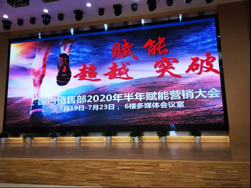南方略助力利歐2020年半年賦能營銷工作大會1