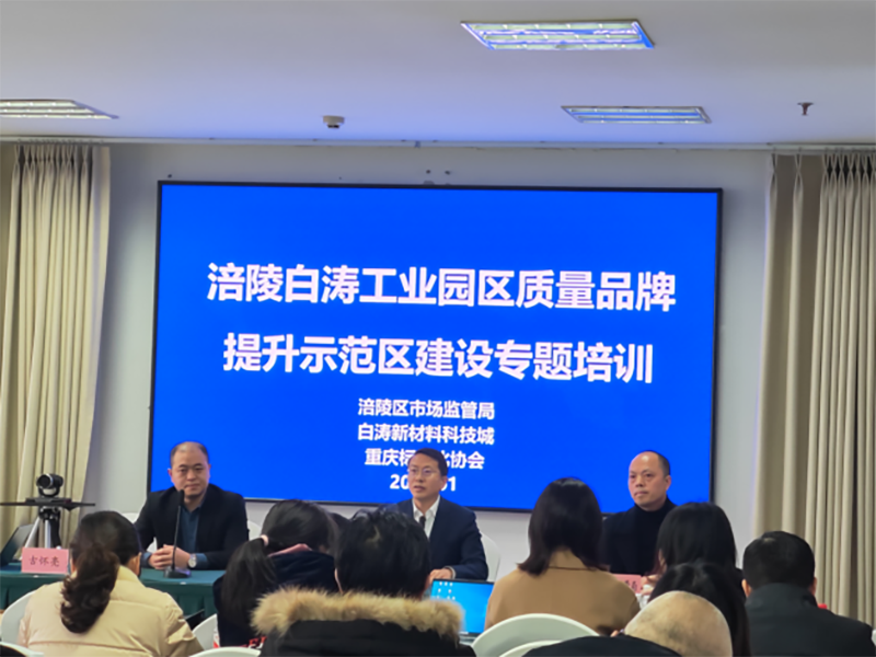 南方略咨詢助力重慶市白濤化工園區(qū)質(zhì)量品牌提升實戰(zhàn)培訓圓滿成功1